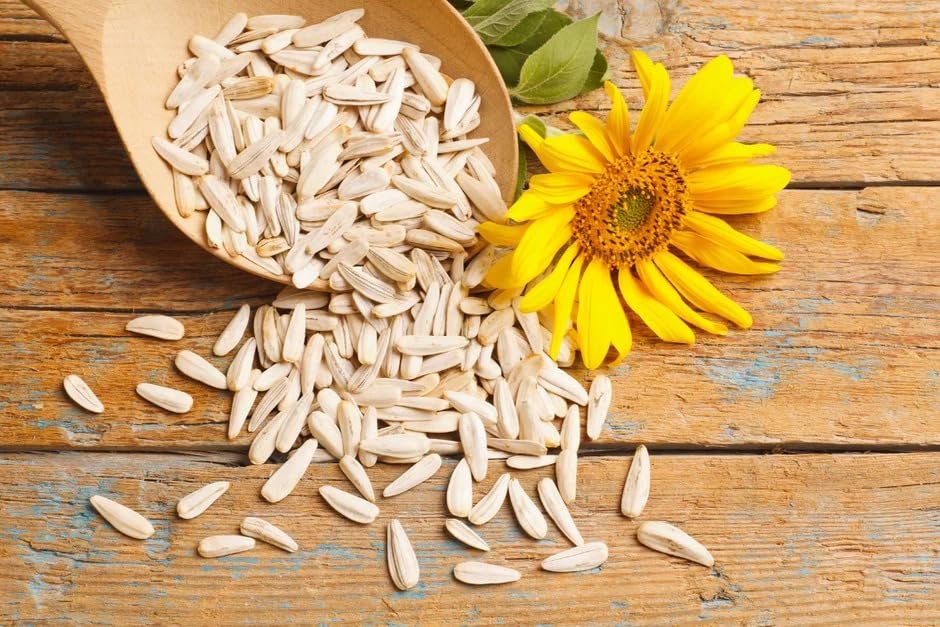 natureonus premium raw sunflower seeds for eating 300gms | protein and fiber rich superfood | | diet food | raw seeds | weight management | source of antioxidants | raw snack for skin | rich in protein & vitamin e superfood natureonus premium raw sunflower seeds for eating 300gms | protein and fiber rich superfood | | diet food | raw seeds | weight management | source of antioxidants | raw snack for skin | rich in protein & vitamin e superfood